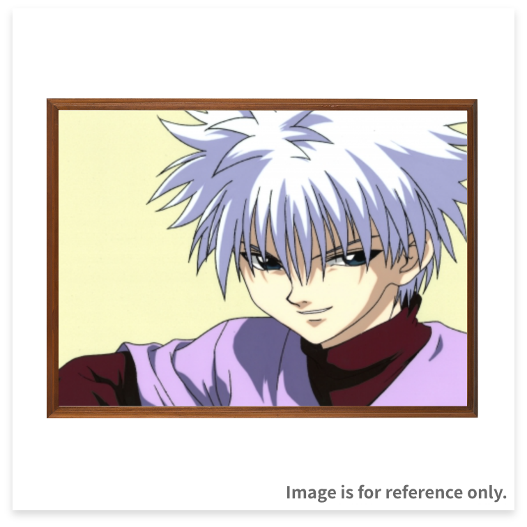 Original Cels (Other Series)  Hunter x Hunter, Yu Yu Hakusho, Dragon Ball, Inuyasha, Urusei Yatsura, Cardcaptor Sakura, Detective Conan, Gundam and many others.