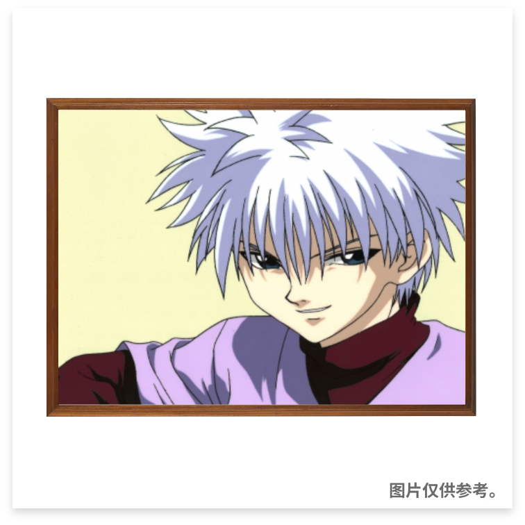 动画赛璐珞画（其他商品）  黑杰克、丛林大帝、宇宙战舰大和号、全职猎人、幽游白书、龙珠、海贼王、美少女战士、原子小金刚、犬夜叉、城市猎人、福星小子、小拳王、以及其他约300个种类，持有3000多张